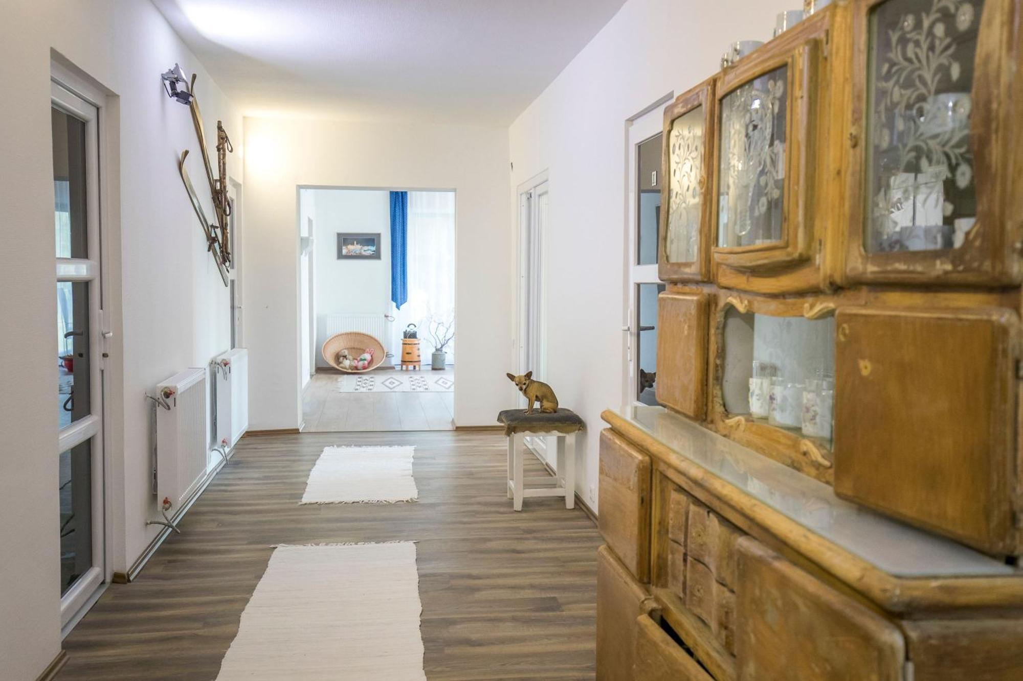 Villa Vamus Vendeg- Es Rendezvenyhaz Vámosszabadi المظهر الخارجي الصورة